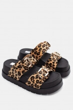 Animal Print