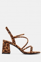 Animal Print